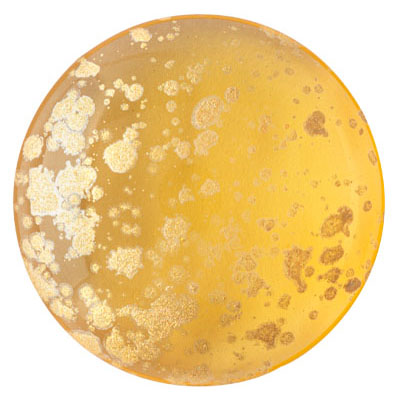 GCPP18-782 - Cabochons par Puca - light topaz gold splash